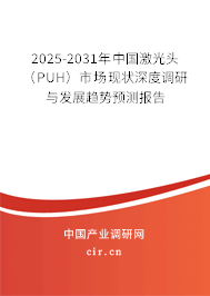 2025-2031年中國(guó)激光頭（PUH）市場(chǎng)現(xiàn)狀深度調(diào)研與發(fā)展趨勢(shì)預(yù)測(cè)報(bào)告