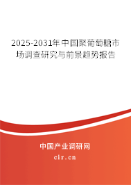2025-2031年中國(guó)聚葡萄糖市場(chǎng)調(diào)查研究與前景趨勢(shì)報(bào)告