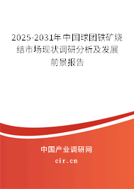 2025-2031年中國球團(tuán)鐵礦燒結(jié)市場(chǎng)現(xiàn)狀調(diào)研分析及發(fā)展前景報(bào)告 2025-2031年中國球團(tuán)鐵礦燒結(jié)市場(chǎng)現(xiàn)狀調(diào)研分析及發(fā)展前景報(bào)告