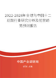 2022-2028年全球與中國(guó)十二烷酸行業(yè)研究分析及前景趨勢(shì)預(yù)測(cè)報(bào)告