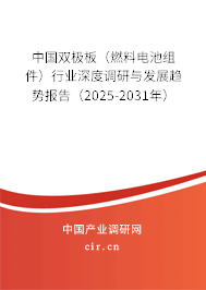 中國雙極板（燃料電池組件）行業(yè)深度調(diào)研與發(fā)展趨勢(shì)報(bào)告（2025-2031年）