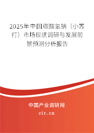 2025年中國碳酸氫鈉(小蘇打)市場現(xiàn)狀調(diào)研與發(fā)展前景預(yù)測分析報(bào)告 2025年中國碳酸氫鈉(小蘇打)市場現(xiàn)狀調(diào)研與發(fā)展前景預(yù)測分析報(bào)告