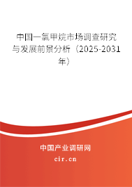 中國一氯甲烷市場調(diào)查研究與發(fā)展前景分析（2025-2031年）