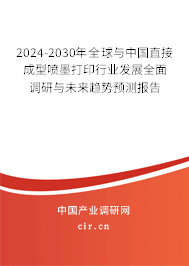 2024-2030年全球與中國直接成型噴墨打印行業(yè)發(fā)展全面調(diào)研與未來趨勢預測報告