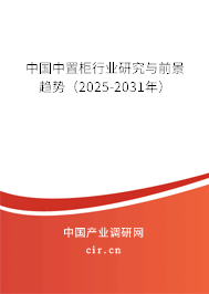 中國(guó)中置柜行業(yè)研究與前景趨勢(shì)(2025-2031年) 中國(guó)中置柜行業(yè)研究與前景趨勢(shì)(2025-2031年)