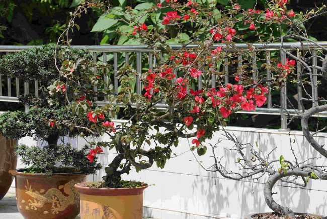 重慶市醫(yī)藥經(jīng)貿(mào)學校簡介、概況